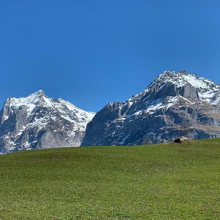 Fluehblueemli Appartement Grindelwald Buitenkant foto