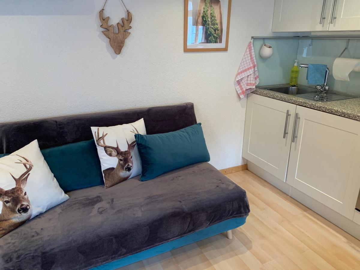 Fluehblueemli Appartement Grindelwald Buitenkant foto