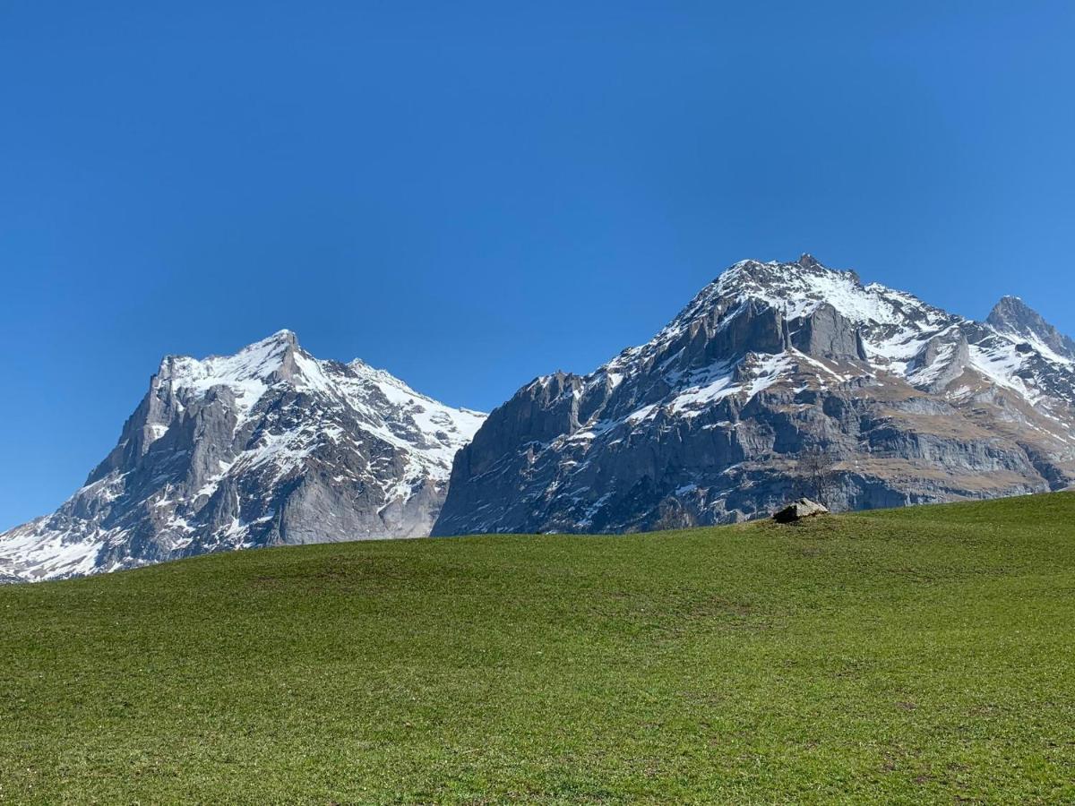Fluehblueemli Appartement Grindelwald Buitenkant foto