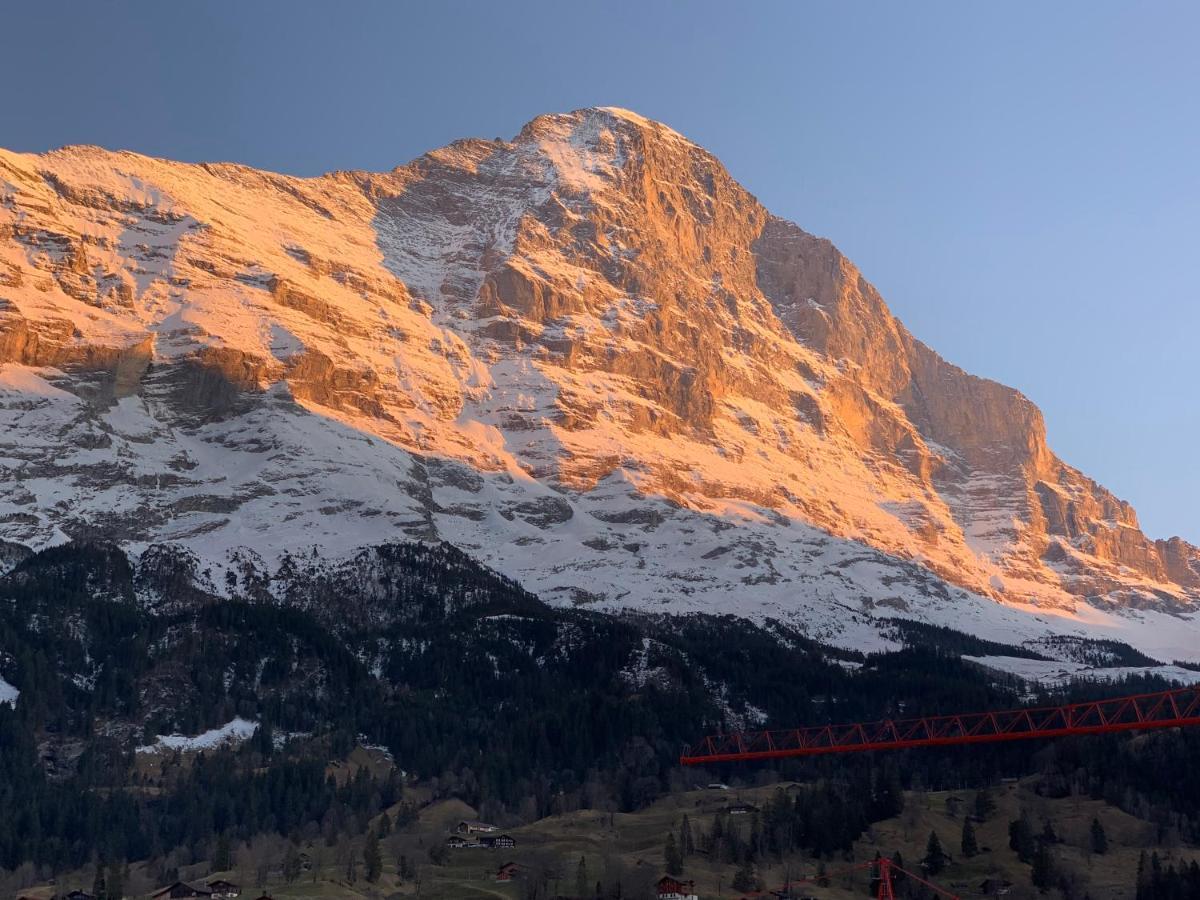 Fluehblueemli Appartement Grindelwald Buitenkant foto