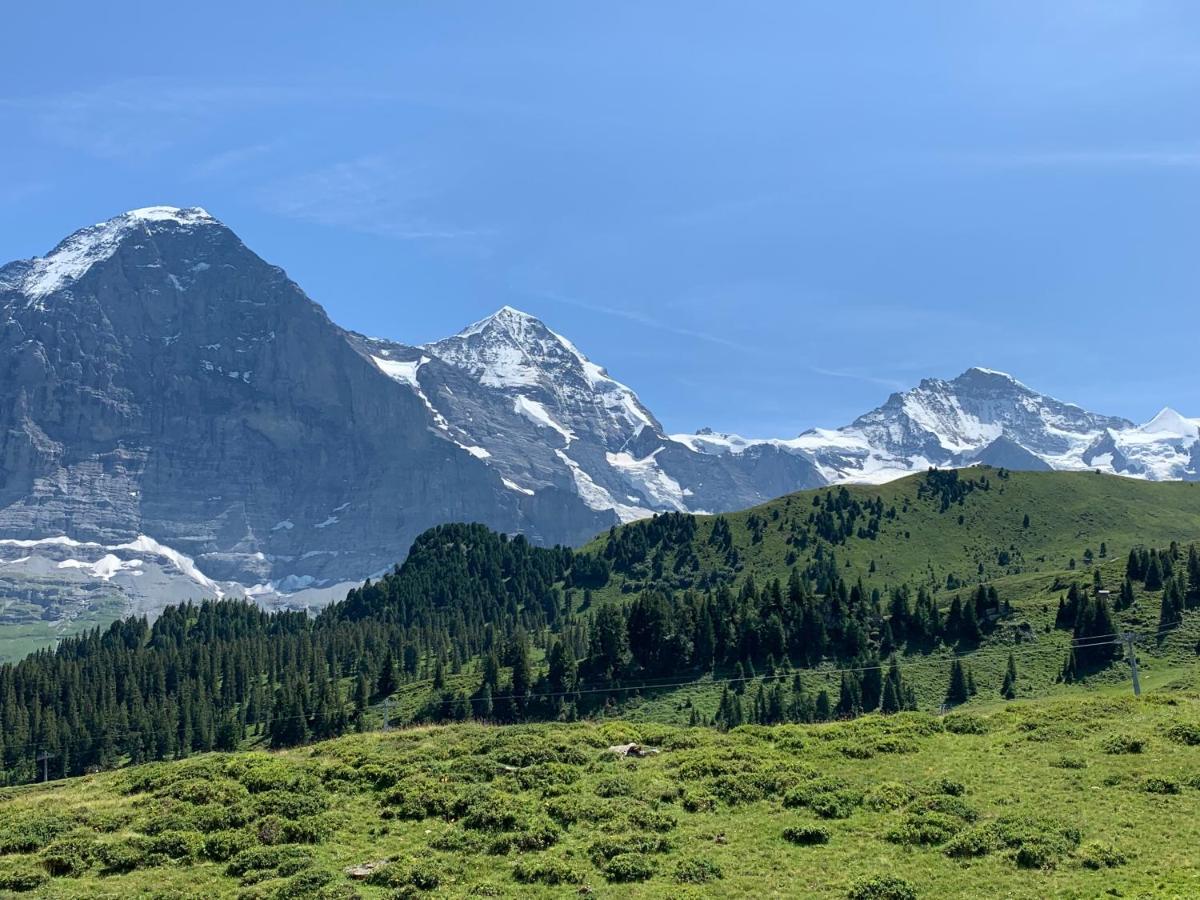 Fluehblueemli Appartement Grindelwald Buitenkant foto