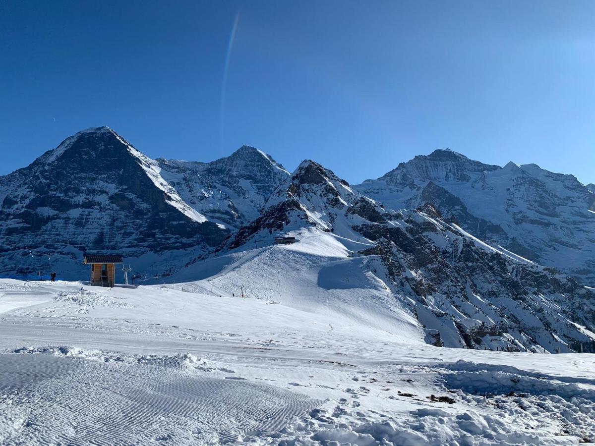 Fluehblueemli Appartement Grindelwald Buitenkant foto