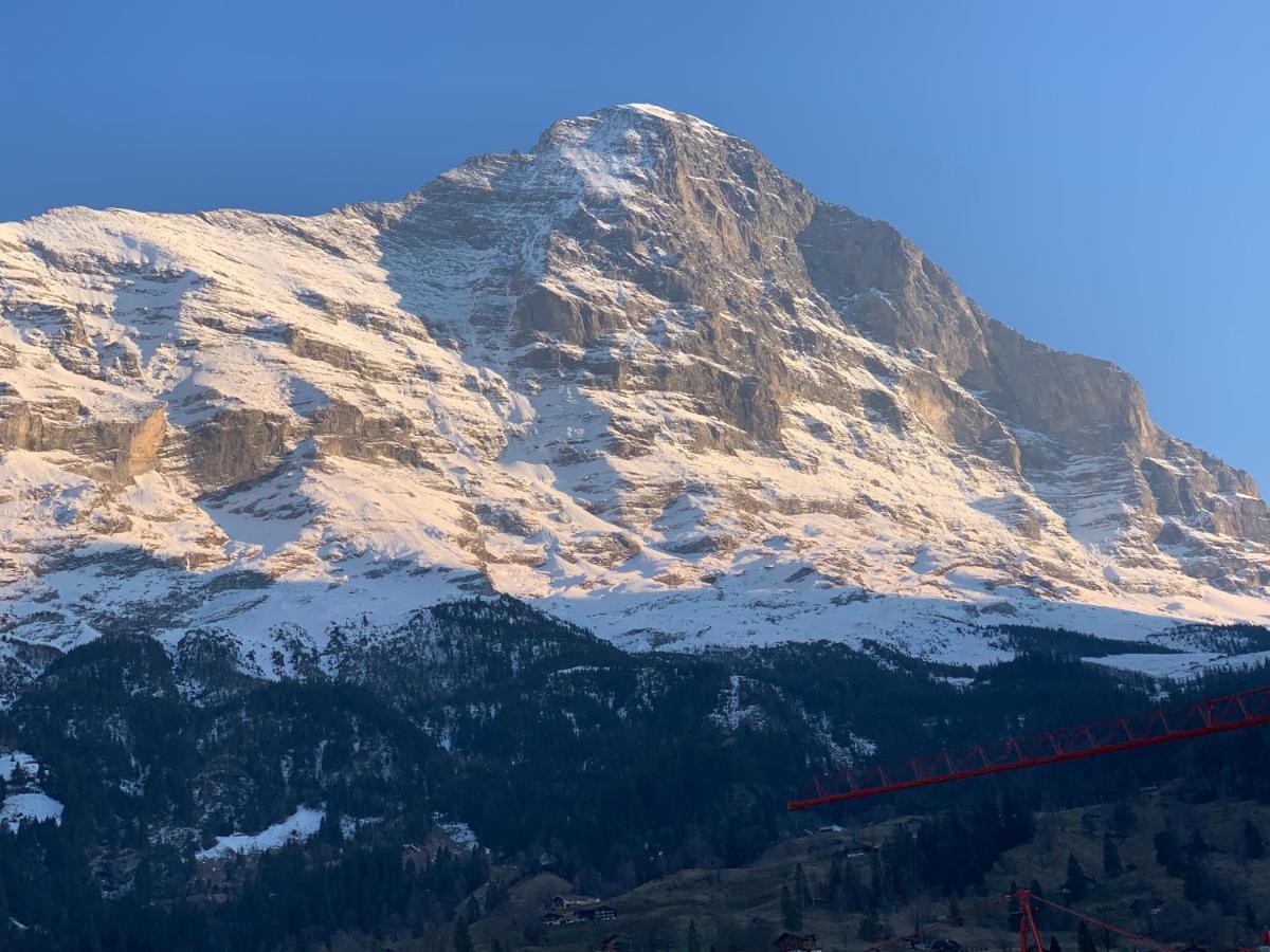 Fluehblueemli Appartement Grindelwald Buitenkant foto