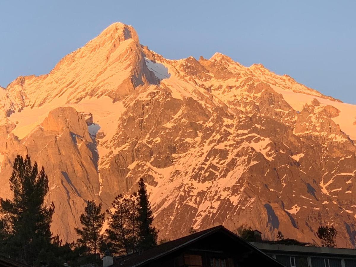 Fluehblueemli Appartement Grindelwald Buitenkant foto