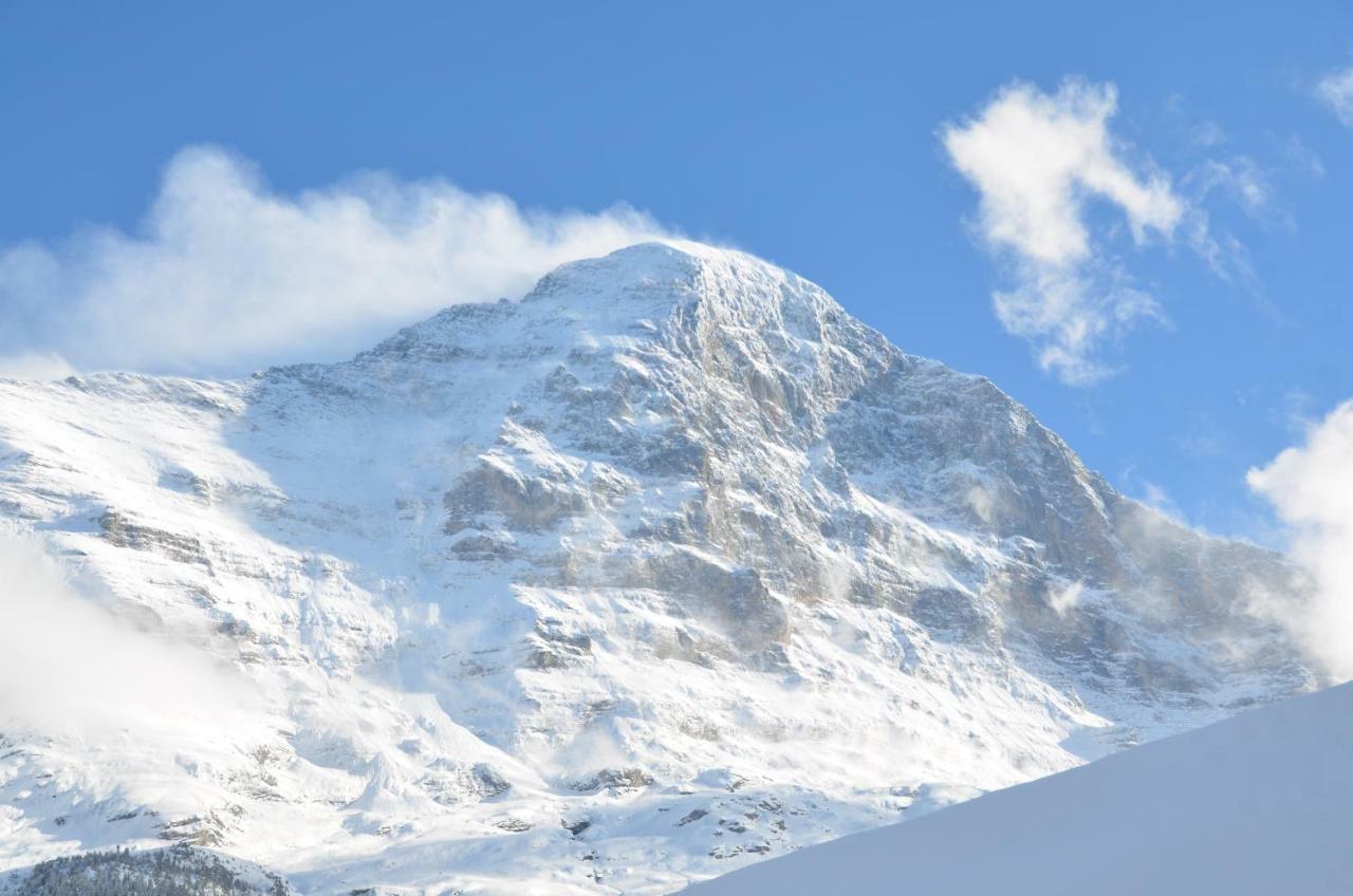 Fluehblueemli Appartement Grindelwald Buitenkant foto