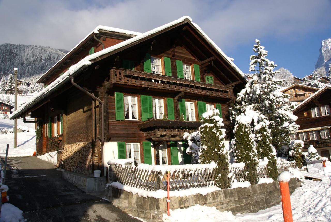 Fluehblueemli Appartement Grindelwald Buitenkant foto