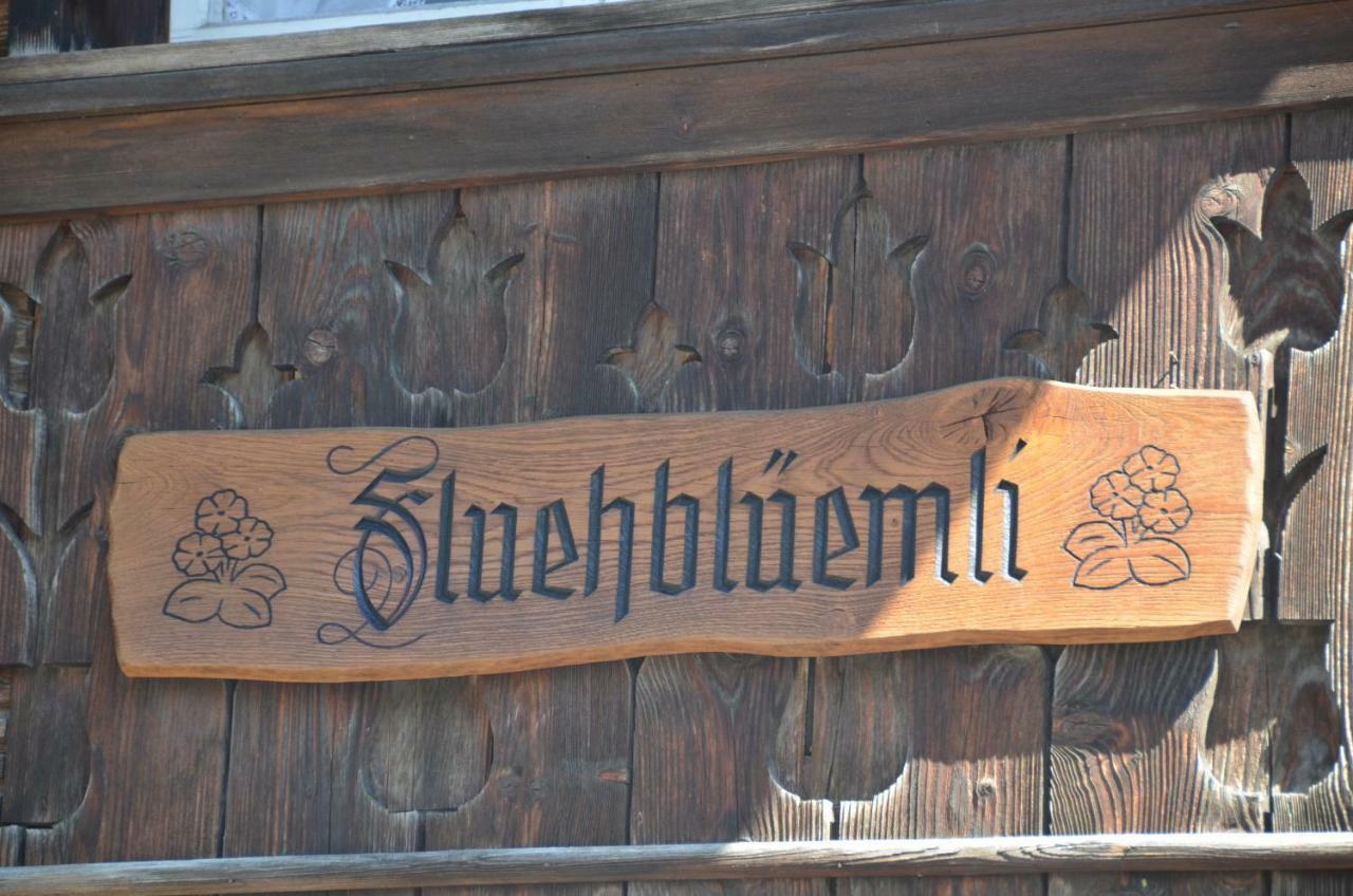Fluehblueemli Appartement Grindelwald Buitenkant foto