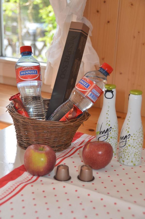Fluehblueemli Appartement Grindelwald Buitenkant foto