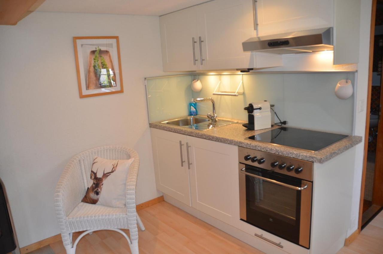 Fluehblueemli Appartement Grindelwald Buitenkant foto