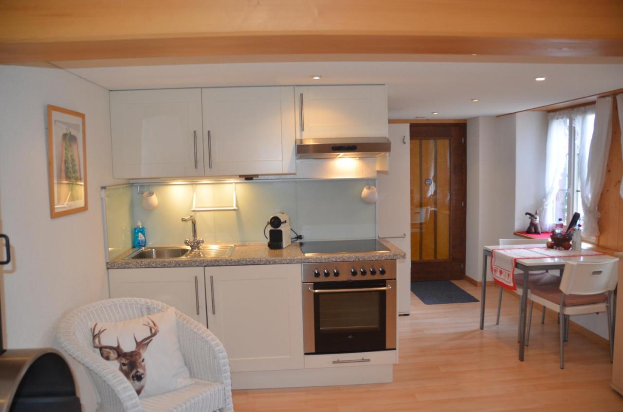 Fluehblueemli Appartement Grindelwald Buitenkant foto