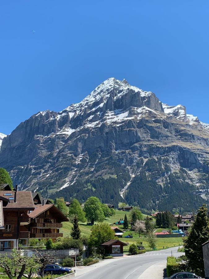 Fluehblueemli Appartement Grindelwald Buitenkant foto