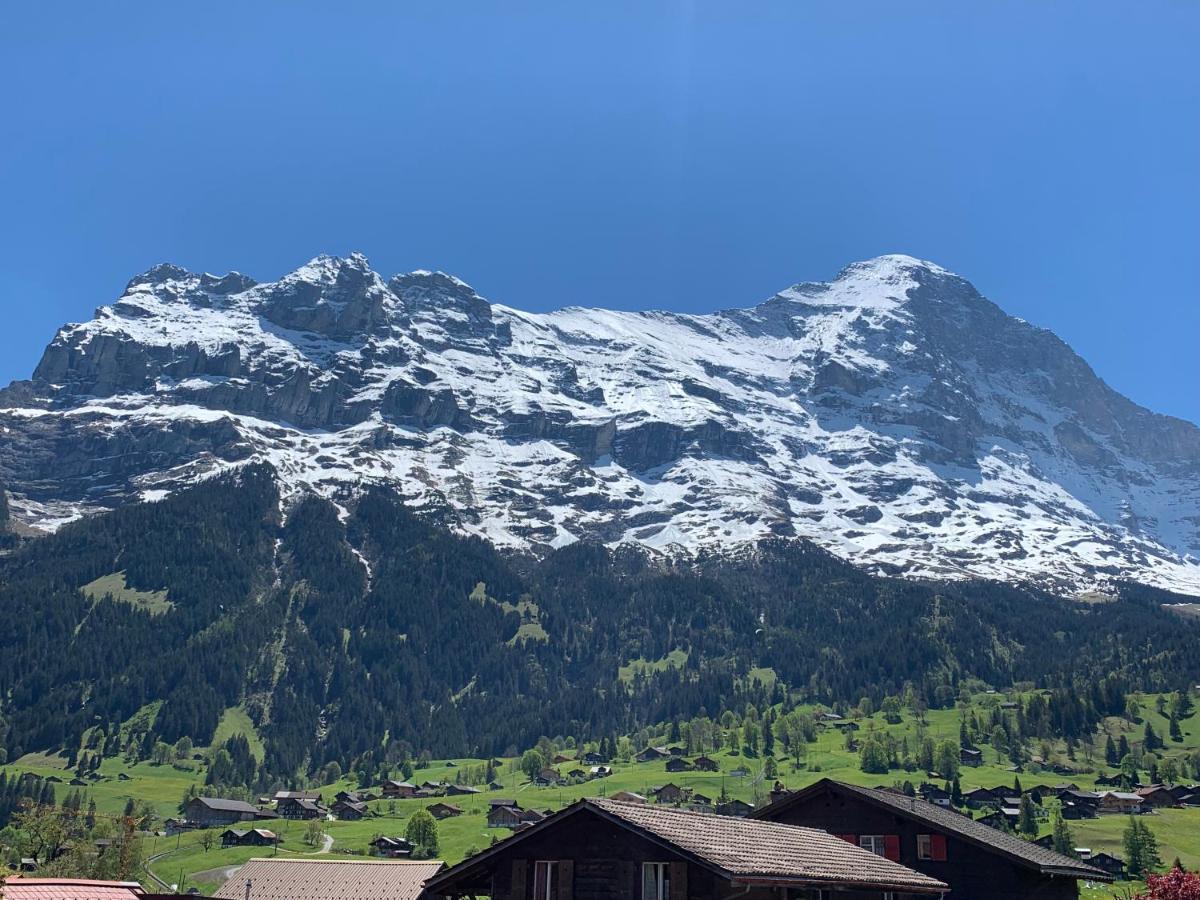 Fluehblueemli Appartement Grindelwald Buitenkant foto