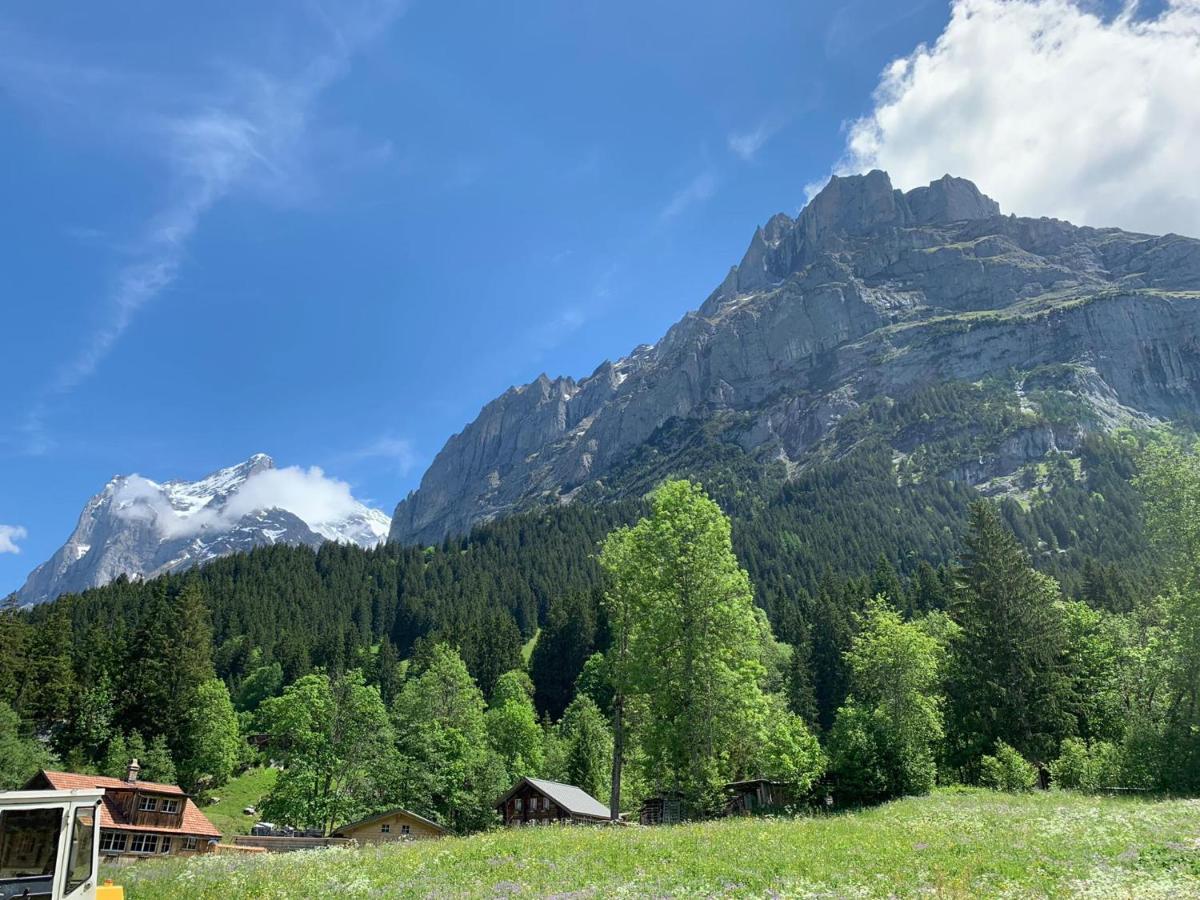 Fluehblueemli Appartement Grindelwald Buitenkant foto