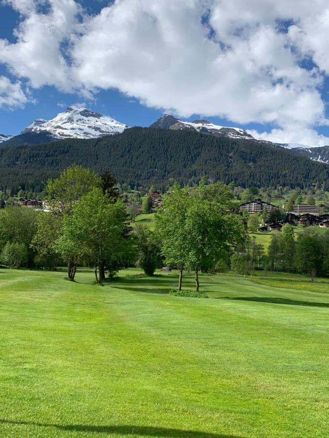 Fluehblueemli Appartement Grindelwald Buitenkant foto